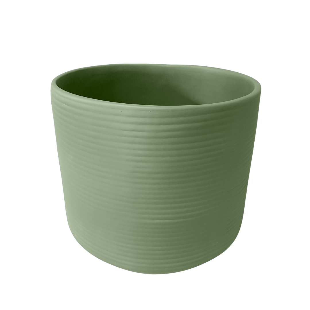 Amazon Ceramic Planter