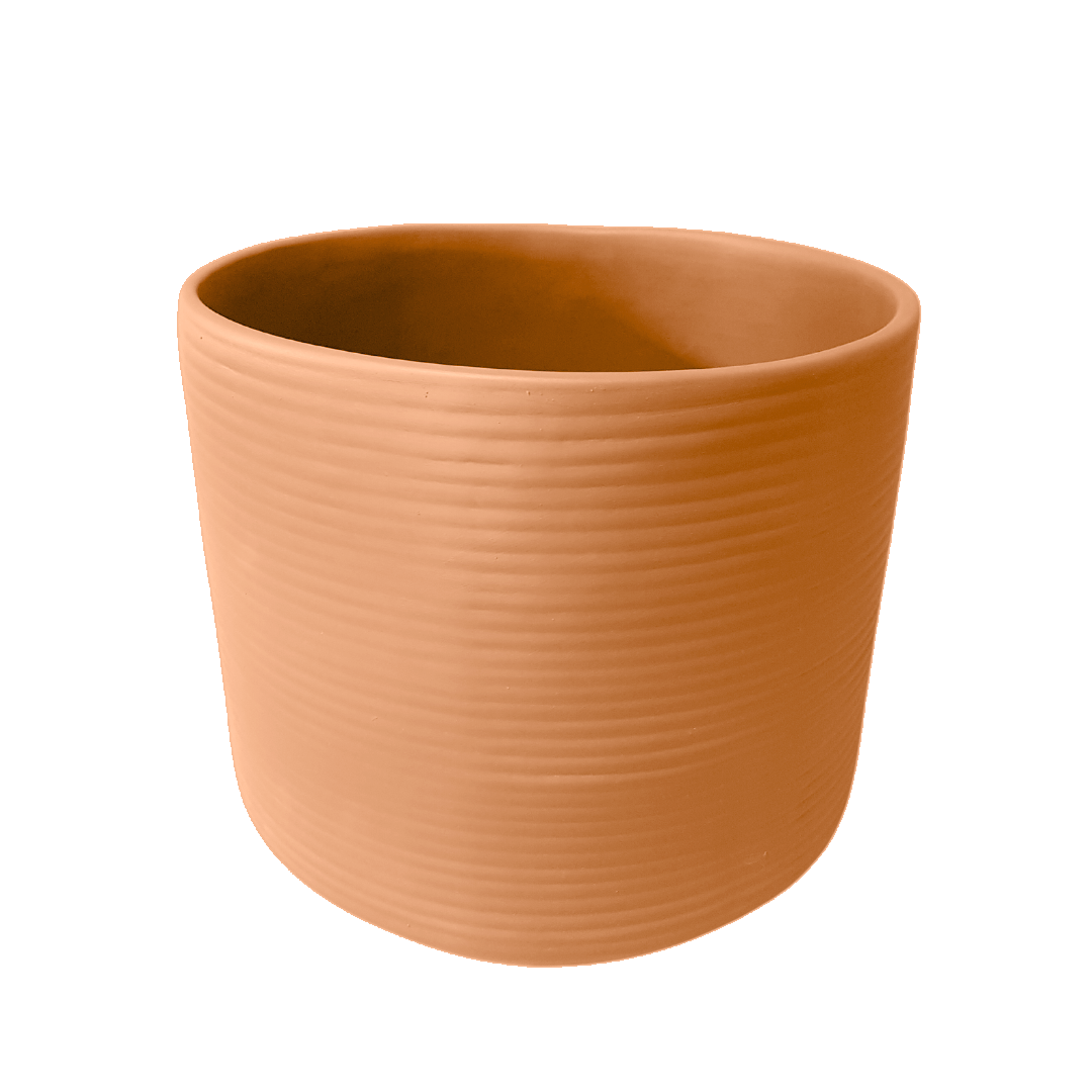 Amazon Ceramic Planter