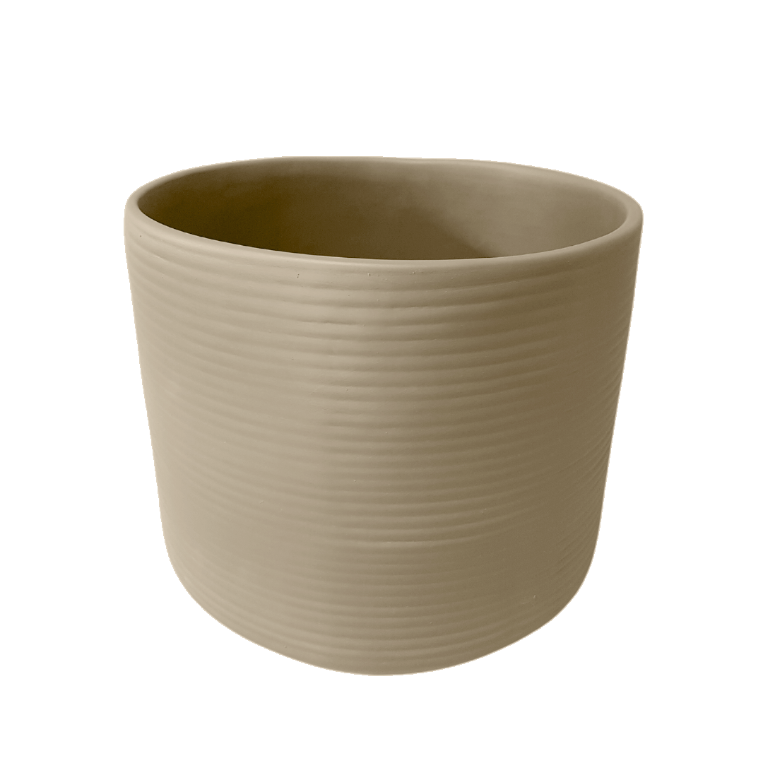 Amazon Ceramic Planter